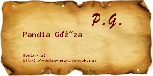 Pandia Géza névjegykártya